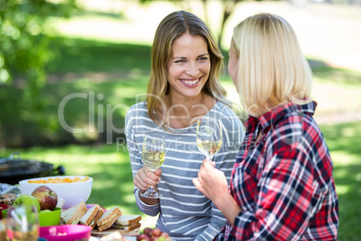 Friends having a picnic with wine