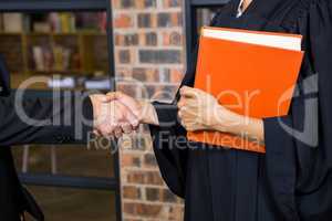 Businessman shaking hands with lawyer