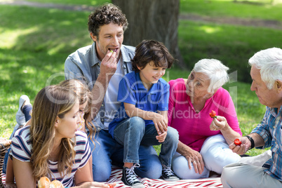 Smiling family having a picnic