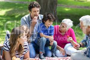 Smiling family having a picnic