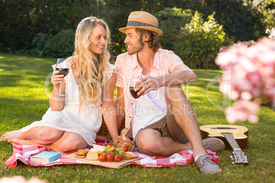 Happy couple having a picnic and drink red wine