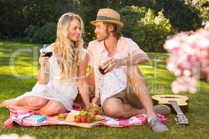 Happy couple having a picnic and drink red wine