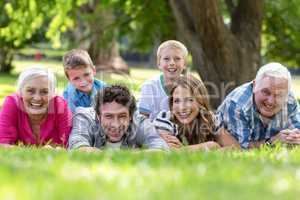 Smiling family lying in the grass