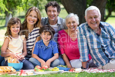 Smiling family having a picnic