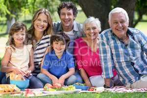 Smiling family having a picnic