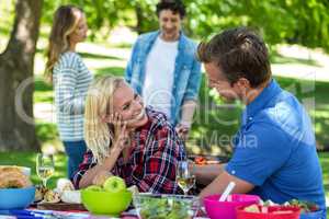 Friends having a picnic with wine and barbecue