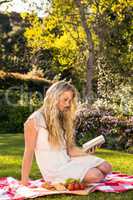 Beautiful blonde having a picnic while reading