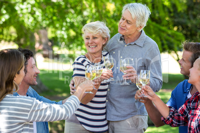 Friends drinking white wine