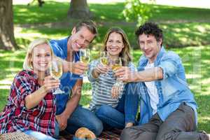 Friends having a picnic with wine