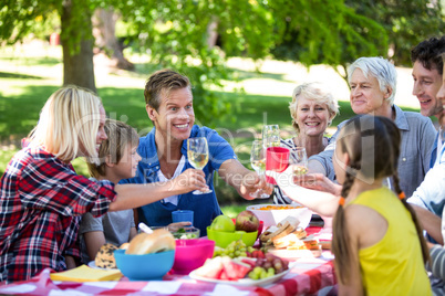 Family and friends having a picnic