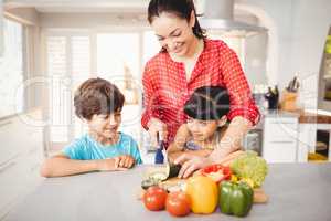 Woman chopping vegetables while children standing by table