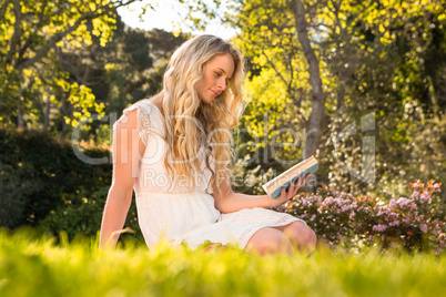 Beautiful blonde sitting on the grass reading