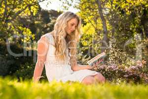 Beautiful blonde sitting on the grass reading