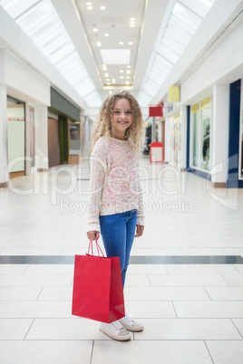 Happy girl holding a shopping bags