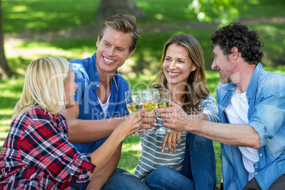 Friends having a picnic with wine