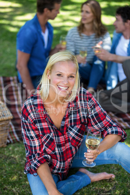 Friends having a picnic with wine