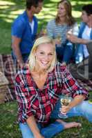 Friends having a picnic with wine