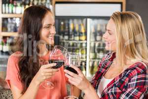 Women toasting with wine