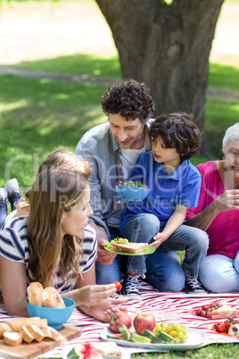 Smiling family having a picnic