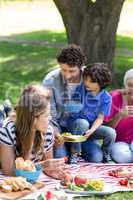 Smiling family having a picnic