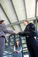 Businessman shaking hands with businesswoman