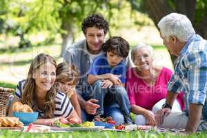 Smiling family having a picnic