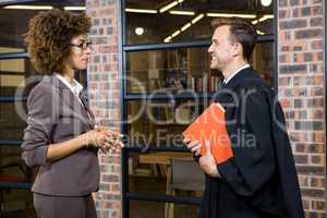 Businesswoman interacting with lawyer