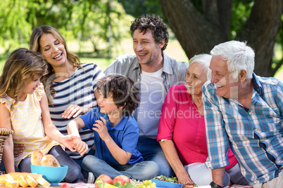 Smiling family having a picnic