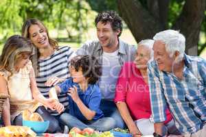 Smiling family having a picnic