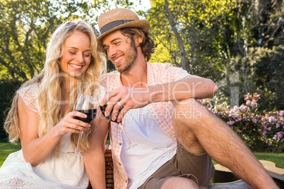 Happy couple having a picnic and drink red wine