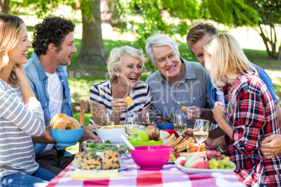 Friends having a picnic