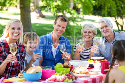 Family and friends having a picnic