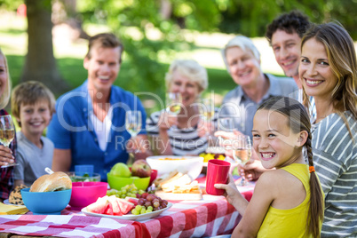 Family and friends having a picnic