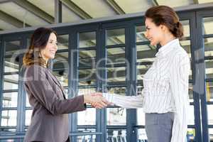 Businesswomen shaking hands with her colleague