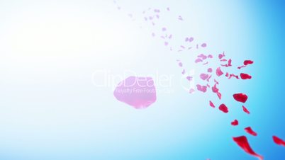 Rose Petals Sky Background (Loop)