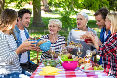 Friends having a picnic