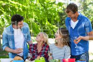 Friends having a picnic with wine