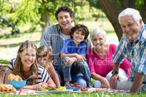 Smiling family having a picnic