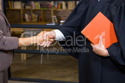 Businesswoman shaking hands with lawyer