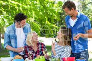 Friends having a picnic with wine