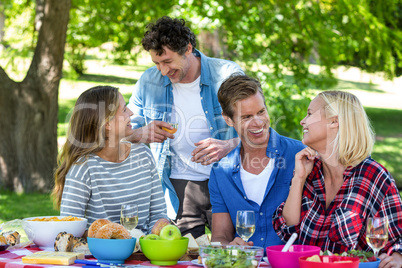 Friends having a picnic with wine