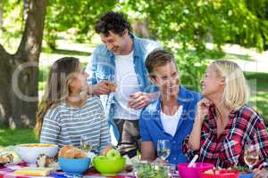 Friends having a picnic with wine