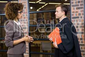 Businesswoman interacting with lawyer