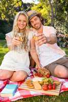 Happy couple having a picnic and drink champagne