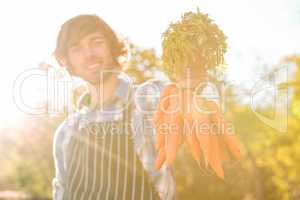Gardener man holding a bunch of carrots