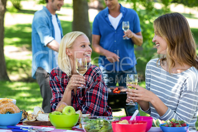 Friends having a picnic with wine and barbecue