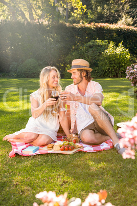 Happy couple having a picnic and drink red wine