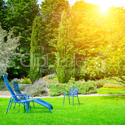 beautiful summer park with lawn