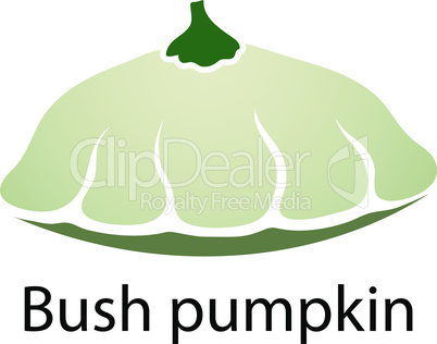 Bush pumpkin icon