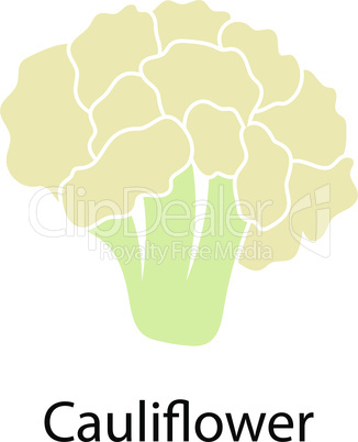 Cauliflower icon